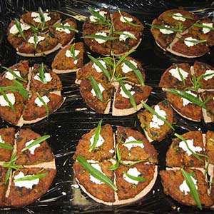 Eggplant Patties